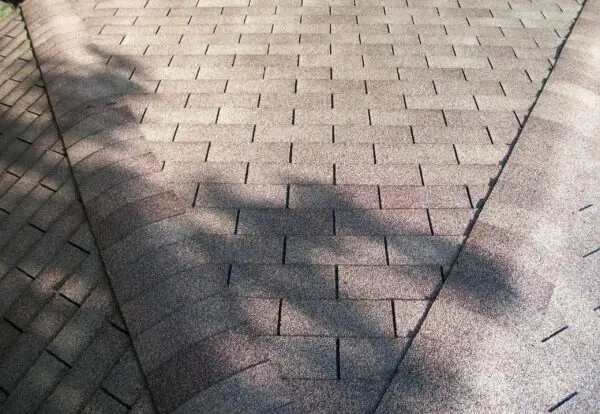 Asphalt shingle roof with tree shadow across it